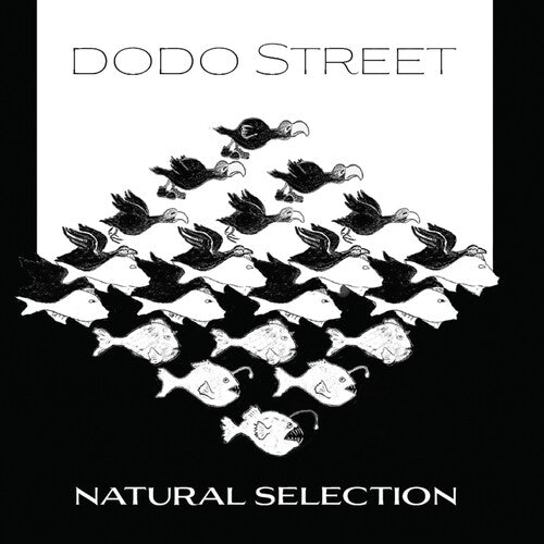 Adams / Dodo Street Band / Byrne - Natural Selection - Music CD