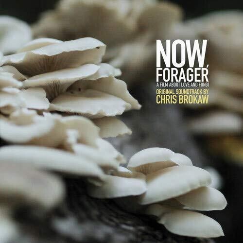 Brokaw,chris - Now Forager - O.s.t. - Vinyl Record
