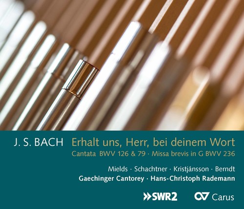 Bach,j.s. / Mields / Rademann - Erhalt Uns / Herr / Bei Deinem Wort - Music CD