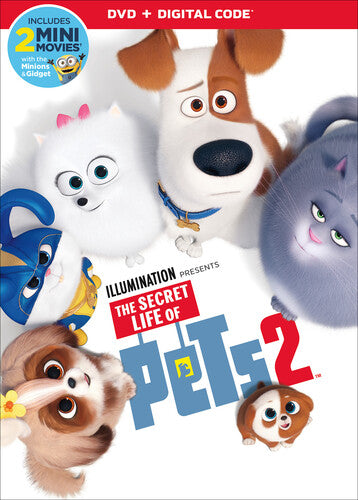 Secret Life Of Pets 2 - Secret Life Of Pets 2 - DVD