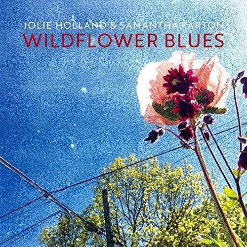Jolie Holland - Wildflower Blues Music CD