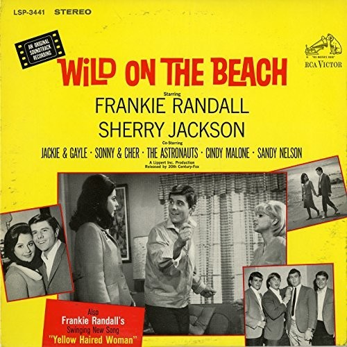 Wild on the Beach / O.S.T. - Wild On the Beach (Original Soundtrack) Music CD