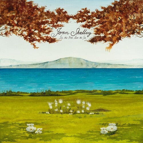 Shelley,joan - Like The River Loves The Sea - Music CD