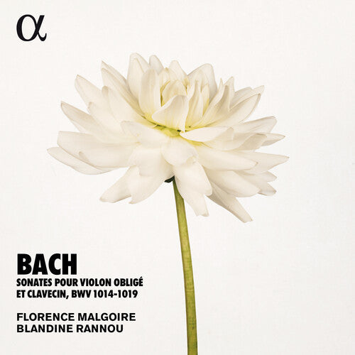 Bach,j.s. / Rannou / Malgoire - Sonates Violon Oblige - Music CD