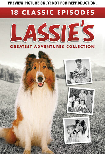 Lassie's Greatest Adventures Collection - Lassie's Greatest Adventures Collection - DVD