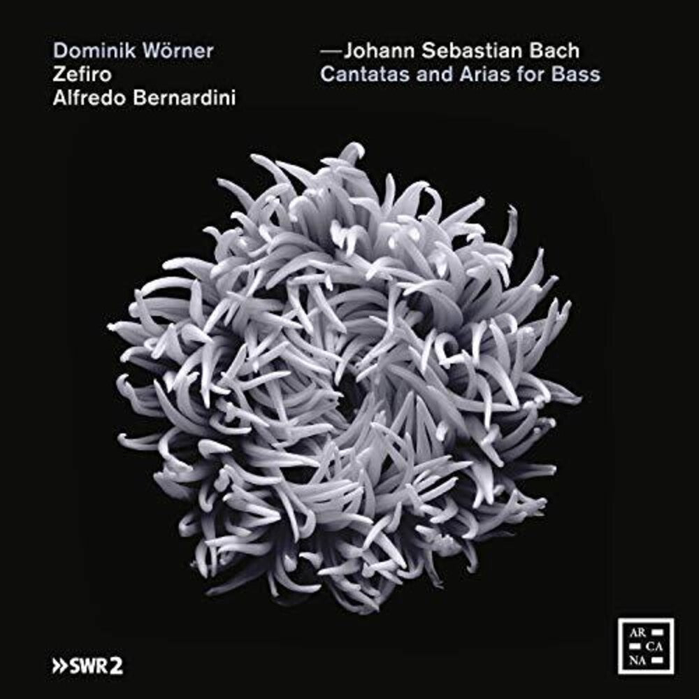 J Bach S / Bernardini / Worner - Cantatas & Arias for Bass Music CD