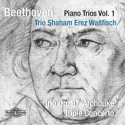 Beethoven / Trio Shahm Erez Wallfisch - Piano Trio 1 - Music CD