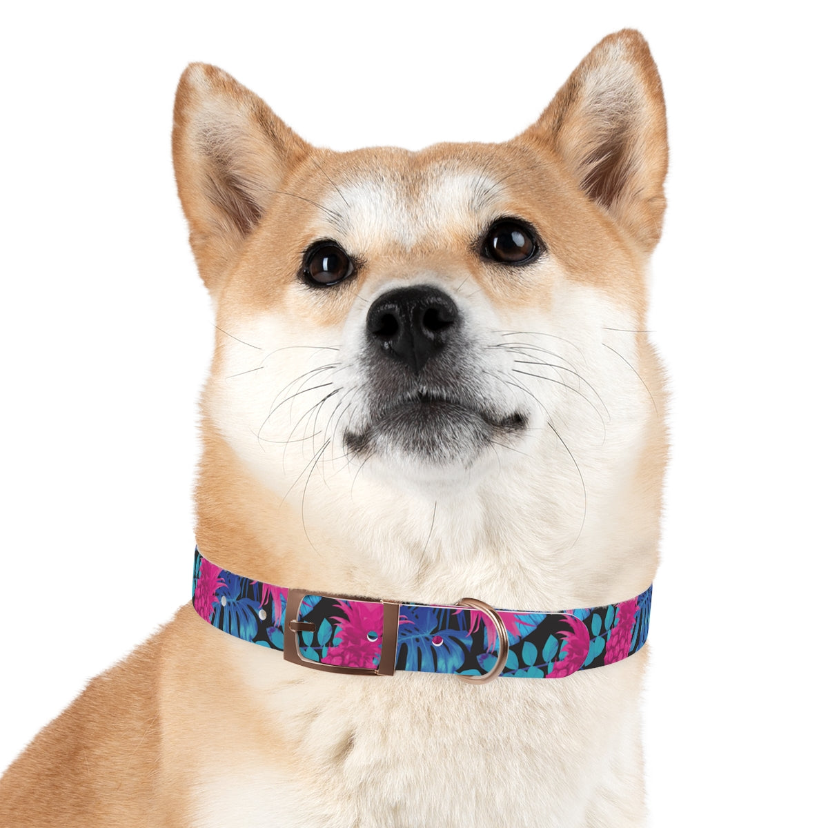 Rad Palm Pineapple Express Dog Collar