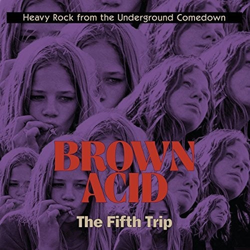 Brown Acid - The Fifth Trip / Various - Brown Acid - The Fifth Trip / Various - Vinyl Record