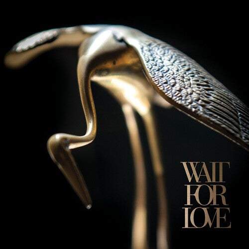 Pianos Become The Teeth - Wait For Love (trans Clr) - Vinyl Record