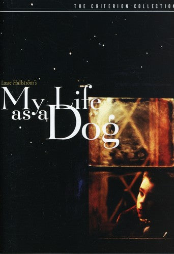 Criterion Collection - My Life As A Dog/dvd - DVD