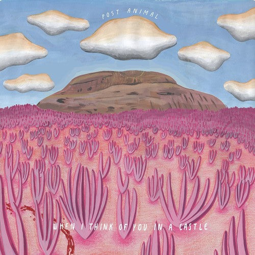 Post Animal - When I Think Of You In A Castle - Music CD