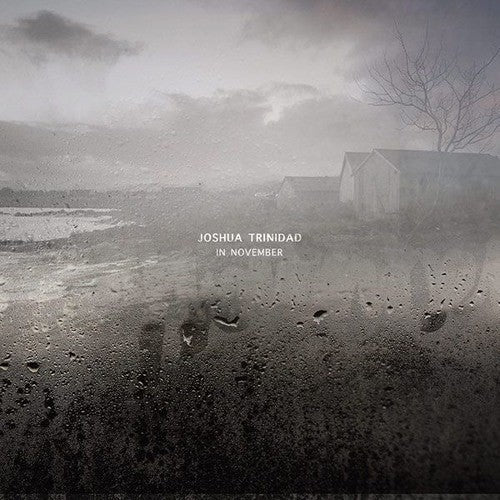 Trinidad,joshua - In November - Vinyl Record