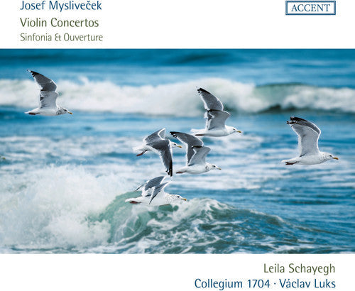 Myslivecek / Schayegh - Violin Concertos - Music CD