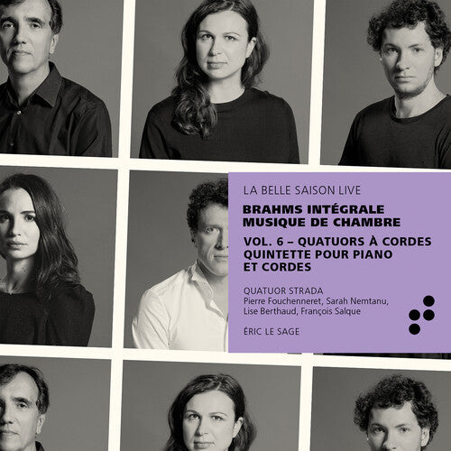 Brahms / Sage / Quatuor Strada - Integrale Musique De Chamber 6 - Music CD