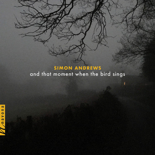 Andrews / Maurer - & That Moment When The Bird Sings - Music CD