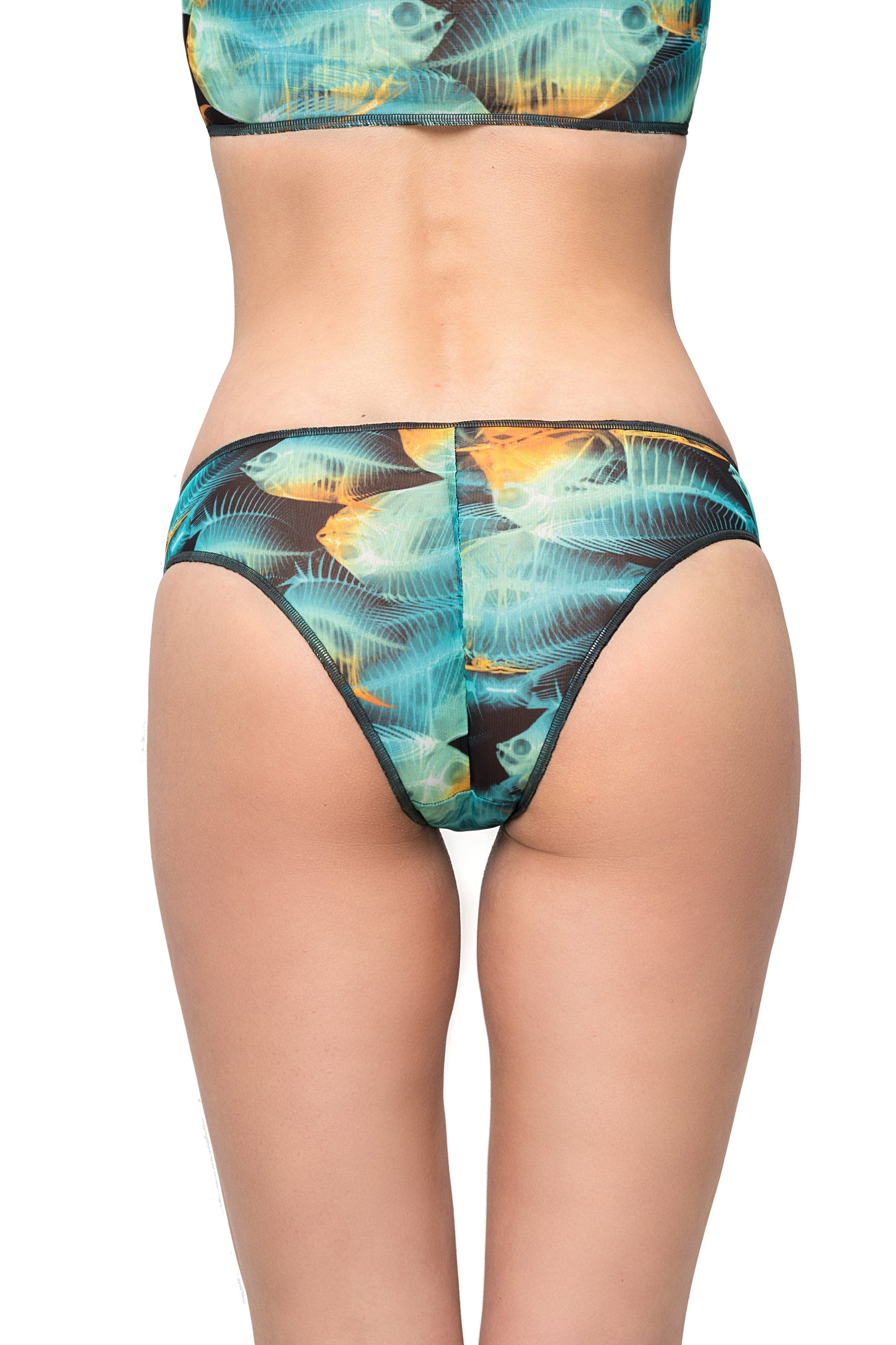 FISH CLASSIC BIKINI (BOTTOM)