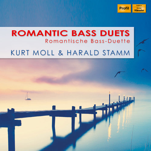 Dvorak / Stamm / Grunelius - Romantic Bass Duets - Music CD