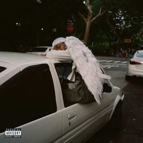 Blood Orange - Negro Swan - Vinyl Record