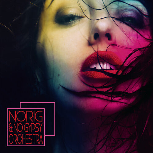 Norig & No Gypsy Orchestra / Various - Norig & No Gypsy Orchestra - Music CD