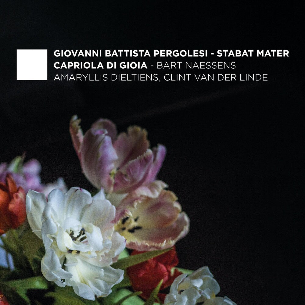 Pergolesi / Dieltiens / Naessens - Stabat Mater Music CD