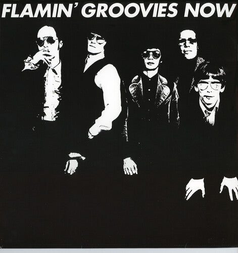 Flamin' Groovies - Now - Music CD