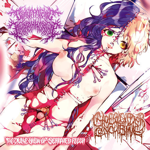 Dehumanizing Itatrain Worship - Divine Union Of Serrated Flesh - Music CD