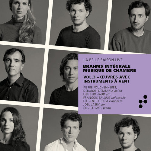Brahms / Pujuila / Nemtanu - Integrale Musique de Chambre 3 Music CD