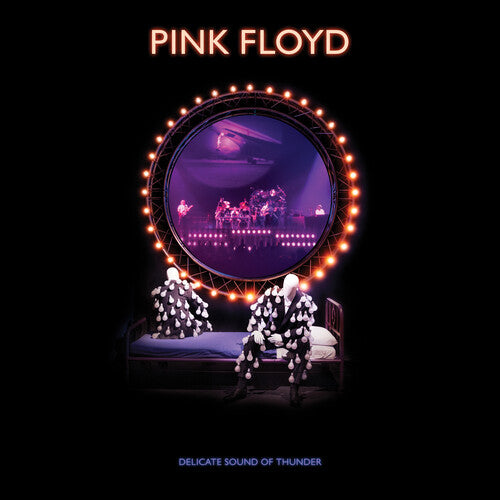 Pink Floyd - Delicate Sound Of Thunder - Vinyl Record