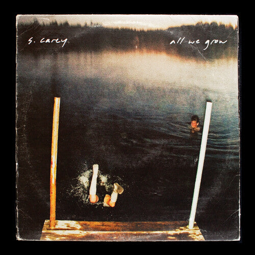 S. Carey - S. Carey 'all We Grow (ten Year Anniversary Ed.) - Vinyl Record