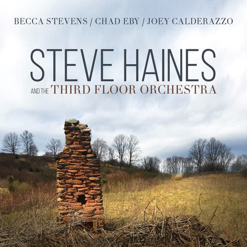 Haines,steve & Third Floor Orchestra - Steve Haines And The Third Floor Orchestra - Music CD