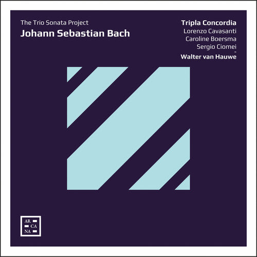Bach,j.s. / Hauwe / Tripla Concordia - Trio Sonata Project - Music CD