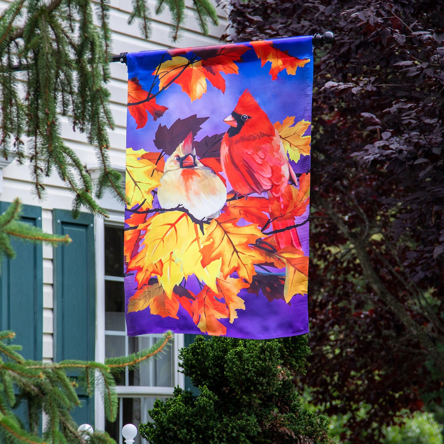 Cardinal Friends House Lustre Flag