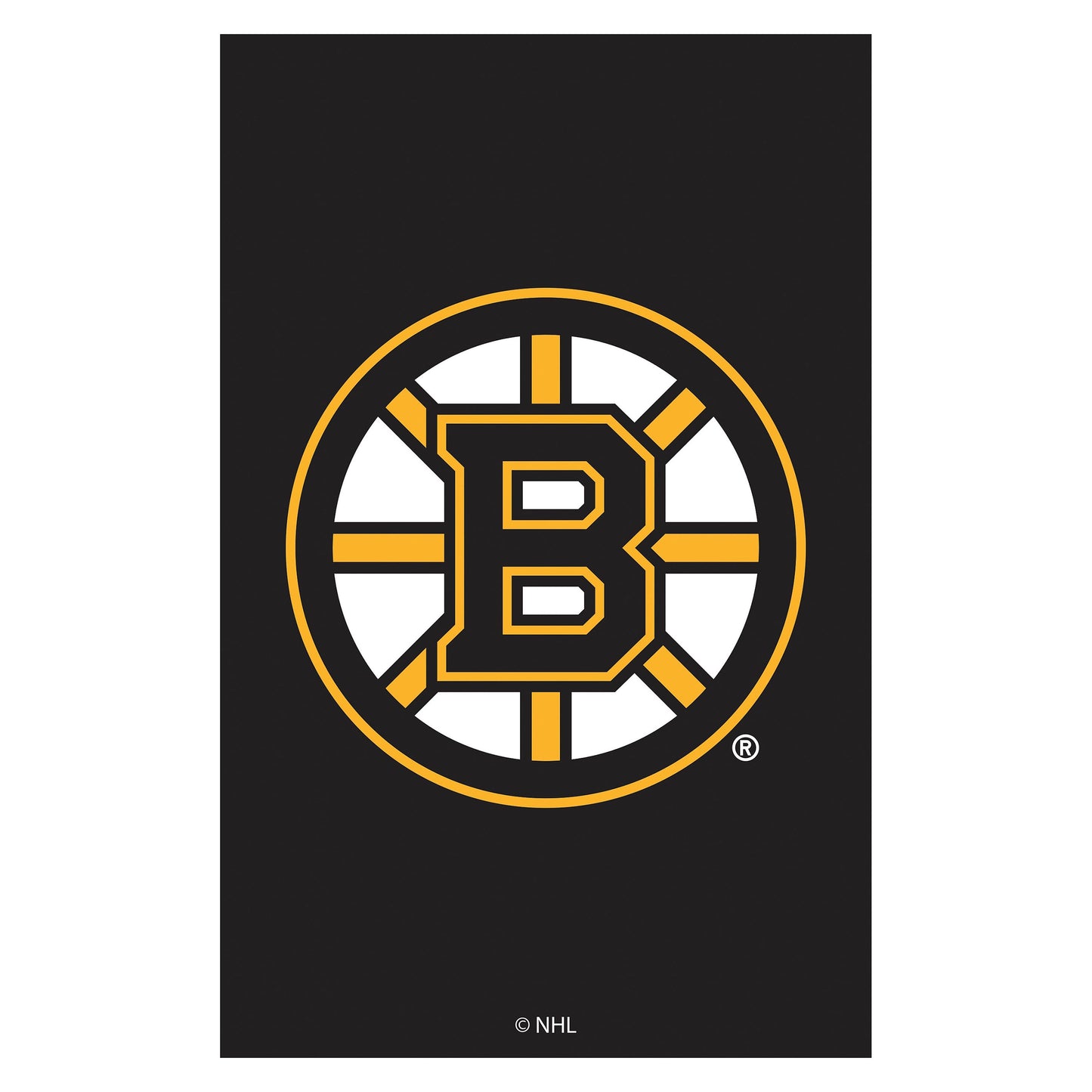 Applique Flag, Reg, Boston Bruins