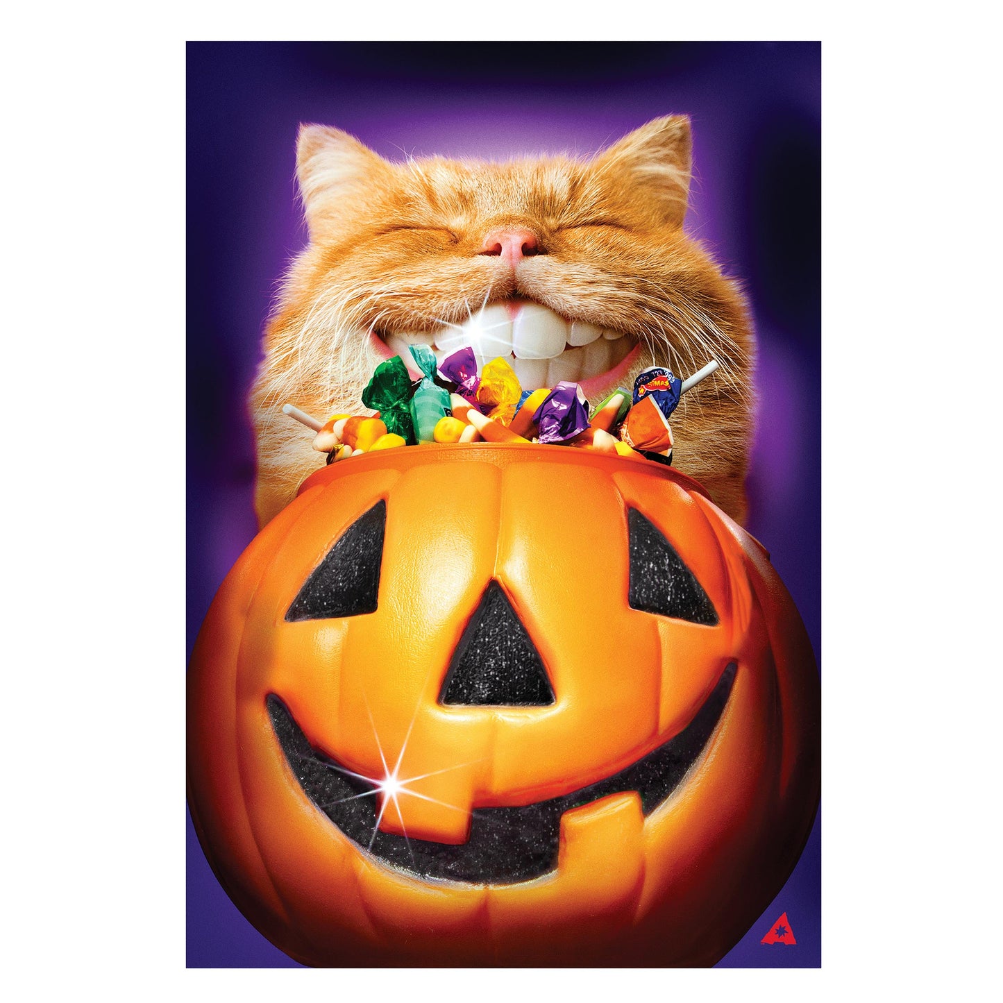 Cat Jack O'Lantern Pumpkin Teeth Suede House Flag