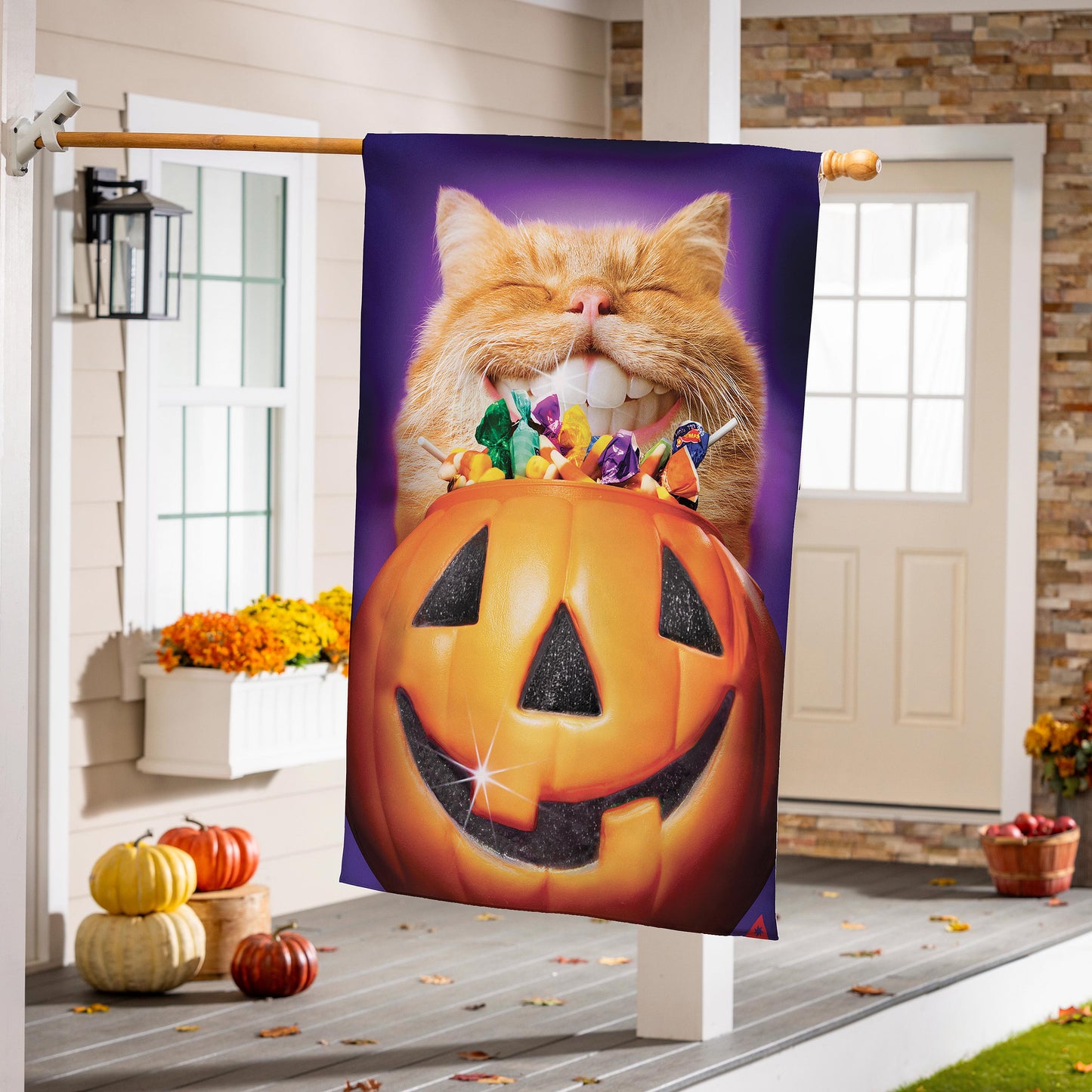 Cat Jack O'Lantern Pumpkin Teeth Suede House Flag