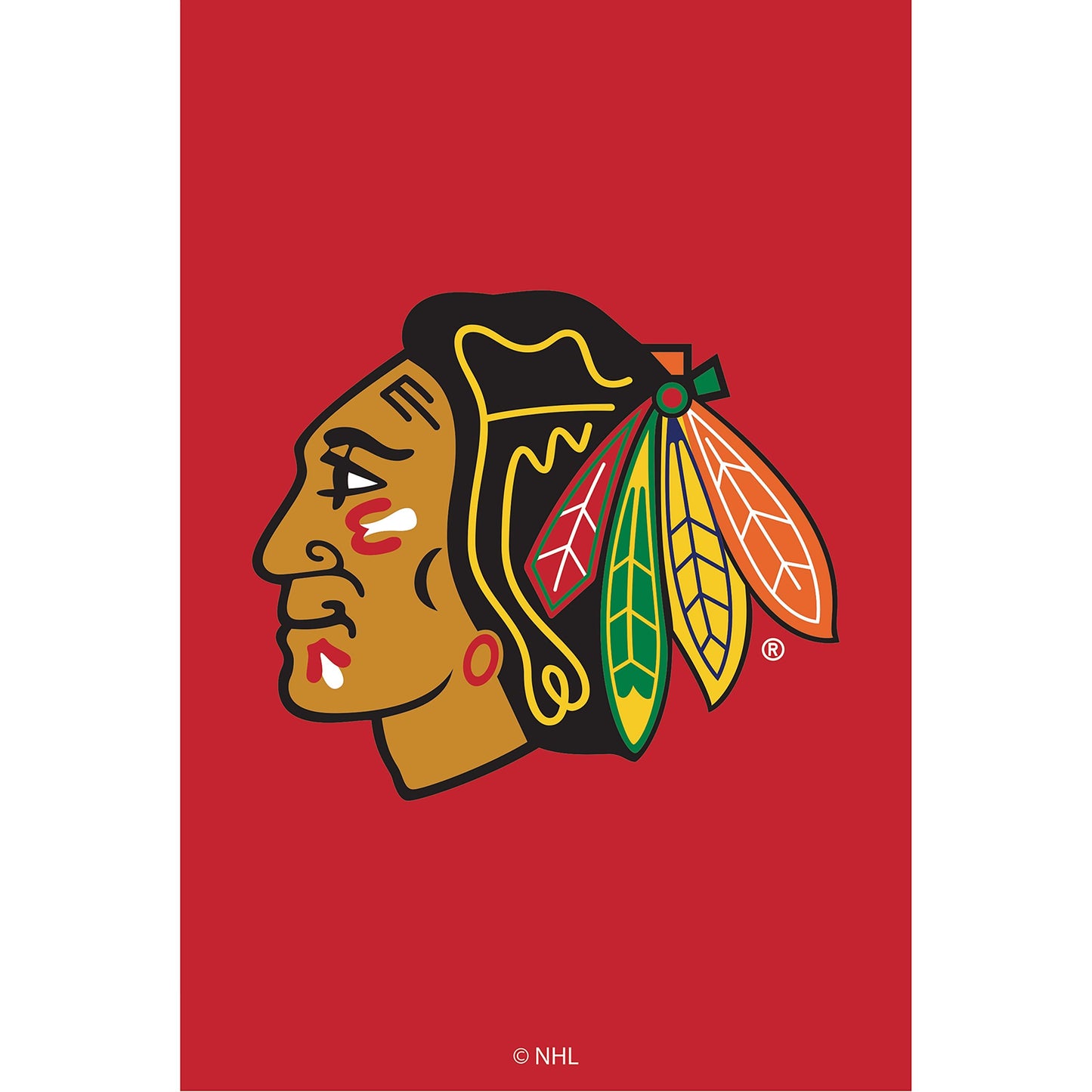 Chicago Blackhawks Applique Garden Flag