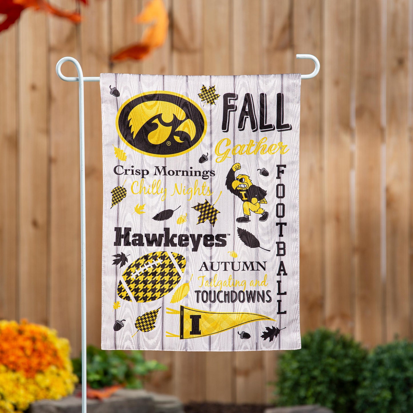 University of Iowa, Moire Flag, GDN, Fall Seasonal
