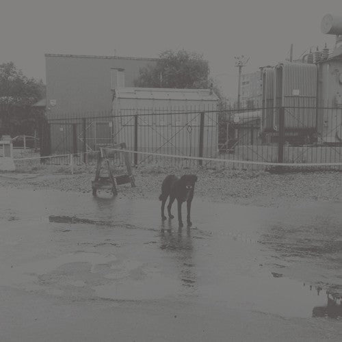 Nivhek - After Its Own Death / Walking In A Spiral Towards - Vinyl Record