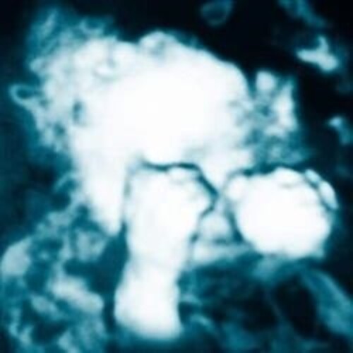 Monfort,sandra - Nino Reptil Angel - Vinyl Record