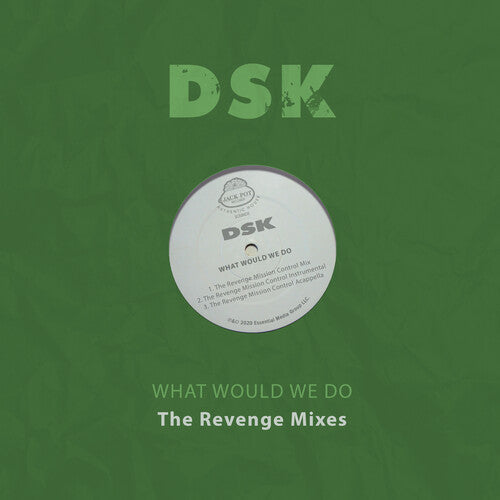Dsk - What Would We Do - The Revenge Mixes - Music CD