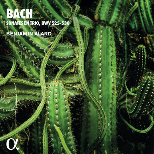 Bach,j.s. / Alard - Trio Sonatas For Organ - Music CD