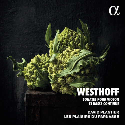 Westhoff / Plantier - Sonates Pour Violon - Music CD