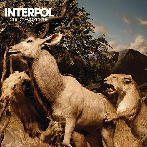 Interpol - Our Love To Admire - Vinyl Record
