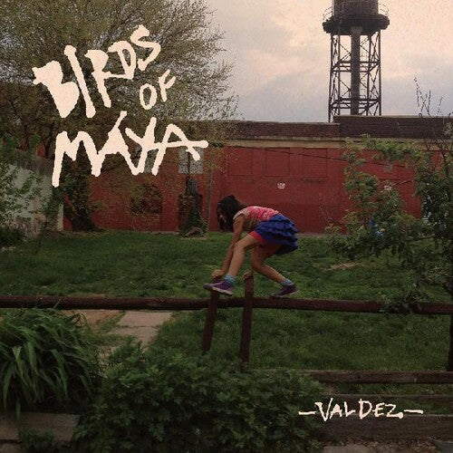 Birds Of Maya - Valdez - Vinyl Record