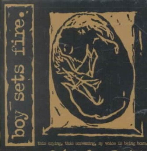 Boysetsfire - This Crying This Screaming My Voice Is Being Born - Vinyl Record