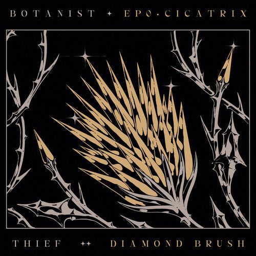 Botanist / Thief - Cicatrix / Diamond Brush - Music CD
