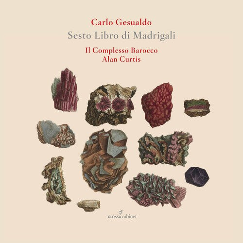 Gesualdo / Il Complesso Barocco / Curtis - Sesto Libro De Madrigali - Music CD