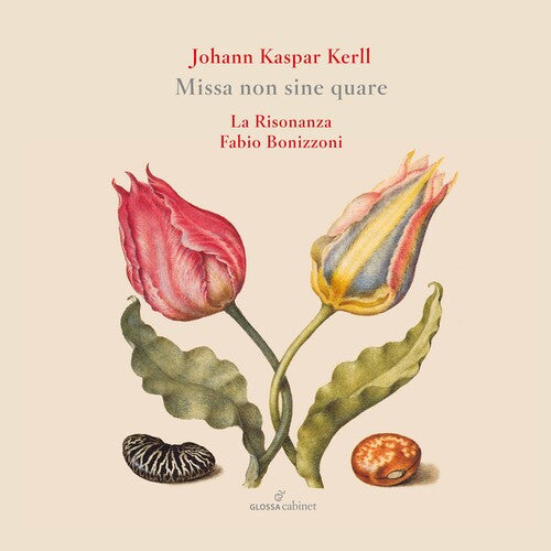 Kerll / Risonanza / Bonizzoni - Missa Non Sine Quare - Music CD
