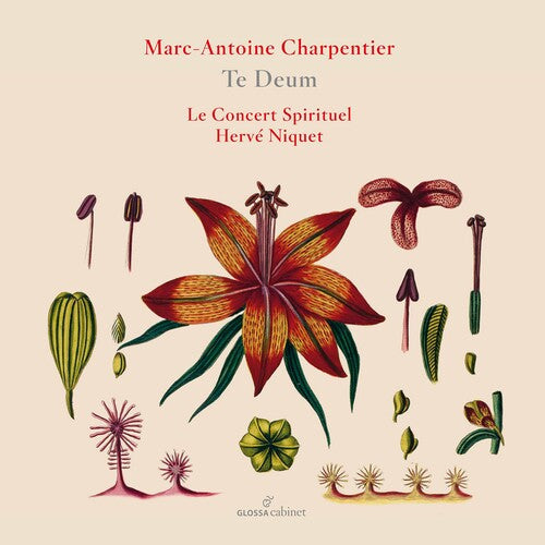 Charpentier / Le Concert Spirituel / Niquet - Te Deum - Music CD